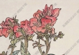 來(lái)楚生國(guó)畫 花開見喜 高清大圖下載