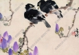 張書旗國畫 鸜鵒紫蕊圖 高清大圖下載