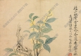清 惲壽平《花卉-桂花》國(guó)畫高清大圖下載