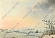 羅伯特桑頓_花之神殿_插畫31_高清大圖下載