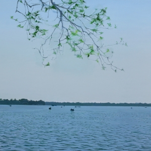 葉恒貴湖邊水景風(fēng)景油畫《風(fēng)景》欣賞