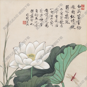 清末 于非闇《荷塘蜻蜓翠鳥圖》高清大圖下載