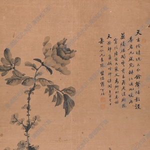 清 羅可恒《水墨花卉牡丹》國畫高清大圖下載