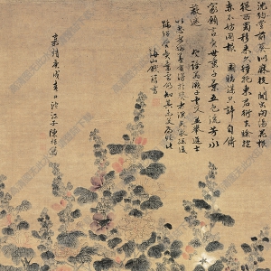 明 陳栝《五色蜀葵圖》國(guó)畫高清大圖下載