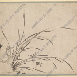元 普明《蘭圖》國(guó)畫高清大圖下載