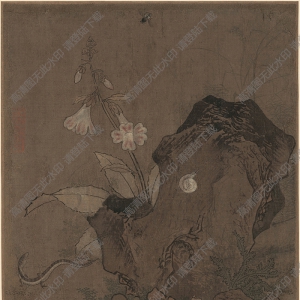 宋 佚名《花石草蟲圖》國(guó)畫高清大圖下載