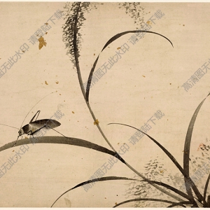 明 杜大成《花蝶草蟲》-10國(guó)畫高清大圖下載