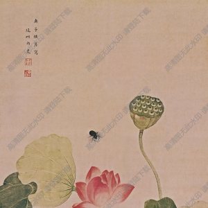 吳應貞超高清《荷花圖》百度云網盤下載