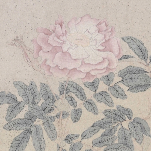錢選超高清《八花圖》國(guó)畫百度云網(wǎng)盤下載