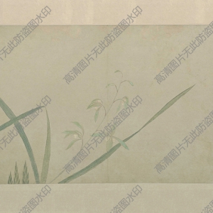 文俶超高清《花卉圖冊(cè)》國(guó)畫百度云網(wǎng)盤下載