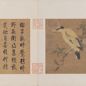 毛益超高清《榴枝黃鳥圖》國(guó)畫百度云網(wǎng)盤下載