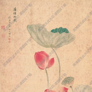 惲冰_蒲塘秋艷圖_超高清_百度云網(wǎng)盤(pán)下載