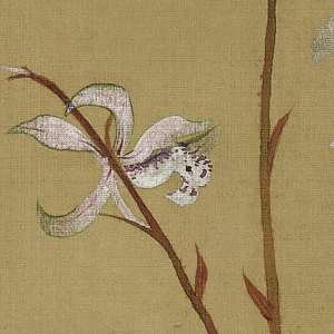 惲壽平_九蘭圖_超高清_百度云網(wǎng)盤下載