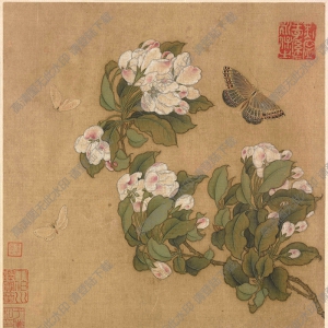 海棠蛺蝶圖_超高清_百度云網(wǎng)盤下載
