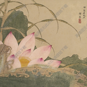 謝蓀_荷花圖_超高清_百度云網(wǎng)盤下載