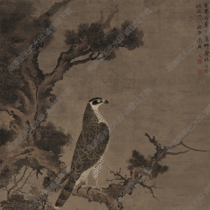 張舜咨_柏鷹圖_超高清_百度云網(wǎng)盤下載