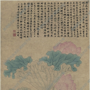 沈周_瓶荷圖_超高清_百度云網(wǎng)盤下載