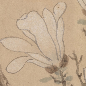 文徵明_白玉蘭圖_超高清_百度云網(wǎng)盤下載