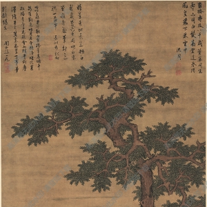 沈周超高清_田椿萱草圖_百度云網(wǎng)盤下載