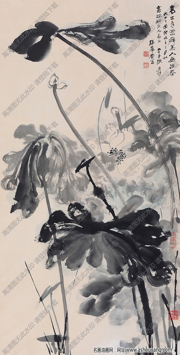 張大千_潑墨荷花_高士有潔癖_美人無冶容_高清大圖下載
