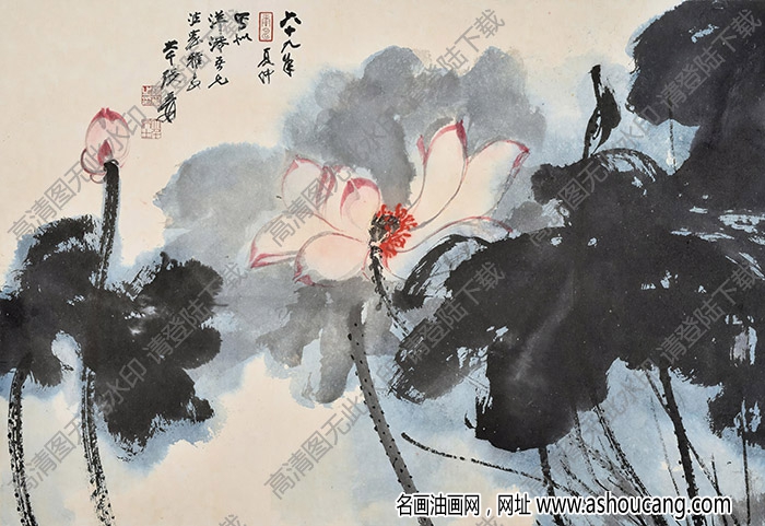 張大千國畫作品_潑墨朱荷_六十九年夏仲寫此_高清下載