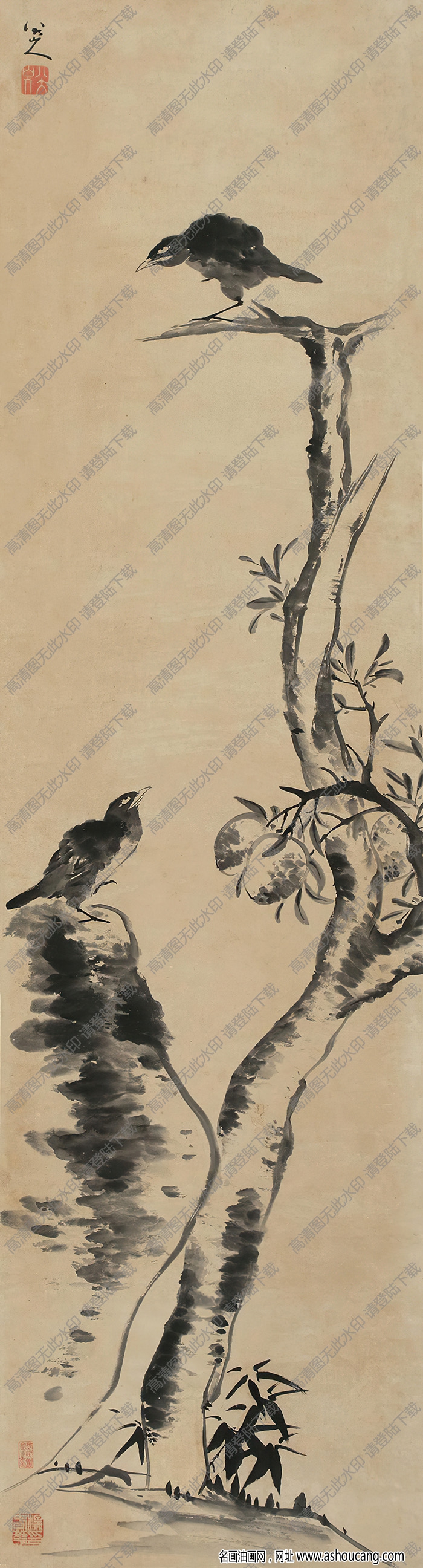 八大山人國畫作品 雙禽圖 高清下載