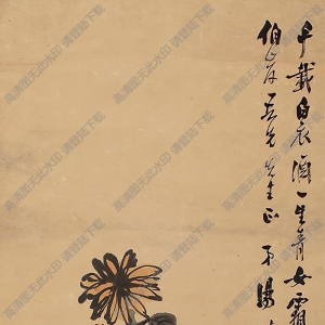 湯定之國(guó)畫 菊 高清大圖下載