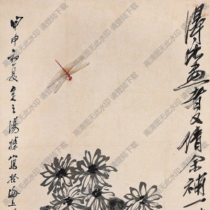 湯定之國(guó)畫 菊花蜻蜓 高清大圖下載