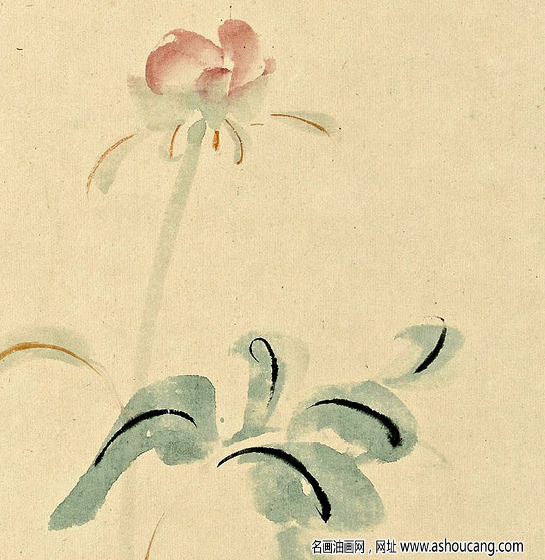 張大千國畫_芍藥圖_辛卯嘉平月作_高清大圖下載