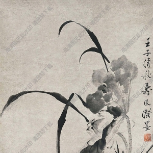 邊壽民國(guó)畫(huà) 荷花 高清大圖下載
