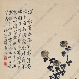邊壽民國(guó)畫(huà) 菊壽 高清大圖下載