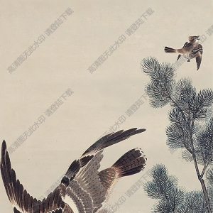 沈銓國(guó)畫(huà) 鷹獵圖 高清大圖下載