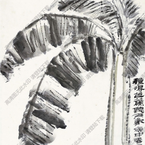 錢君匋國畫 種得芭蕉聽雨聲 高清大圖下載