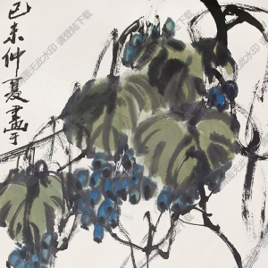 朱屺瞻國(guó)畫(huà) 葡萄 (2) 高清大圖下載