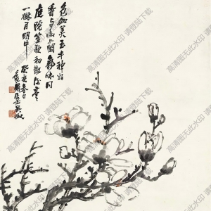 吳徵國(guó)畫(huà) 白玉蘭 高清大圖下載
