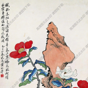 黃山壽國畫 山茶 高清大圖下載