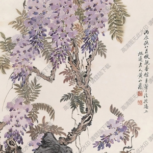 黃山壽國(guó)畫 紫藤 高清大圖下載