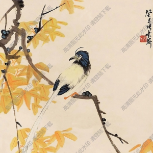 張書旗國畫 花鳥 (9) 高清大圖下載