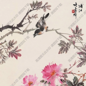 張書旗國畫 花鳥 (11) 高清大圖下載