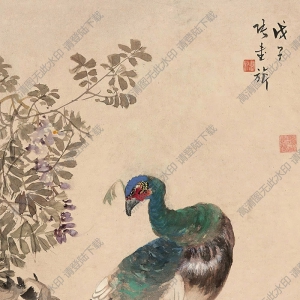 張書旗國畫 孔雀 高清大圖下載