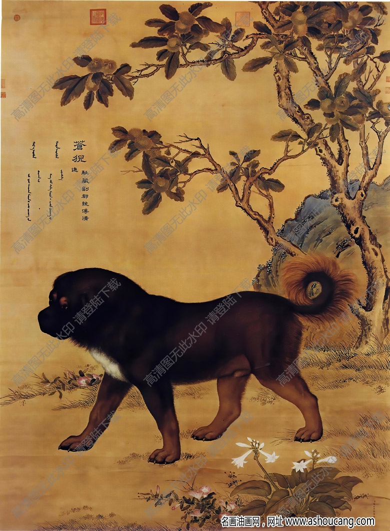 郎世寧 十駿犬圖4-蒼猊 高清名畫下載