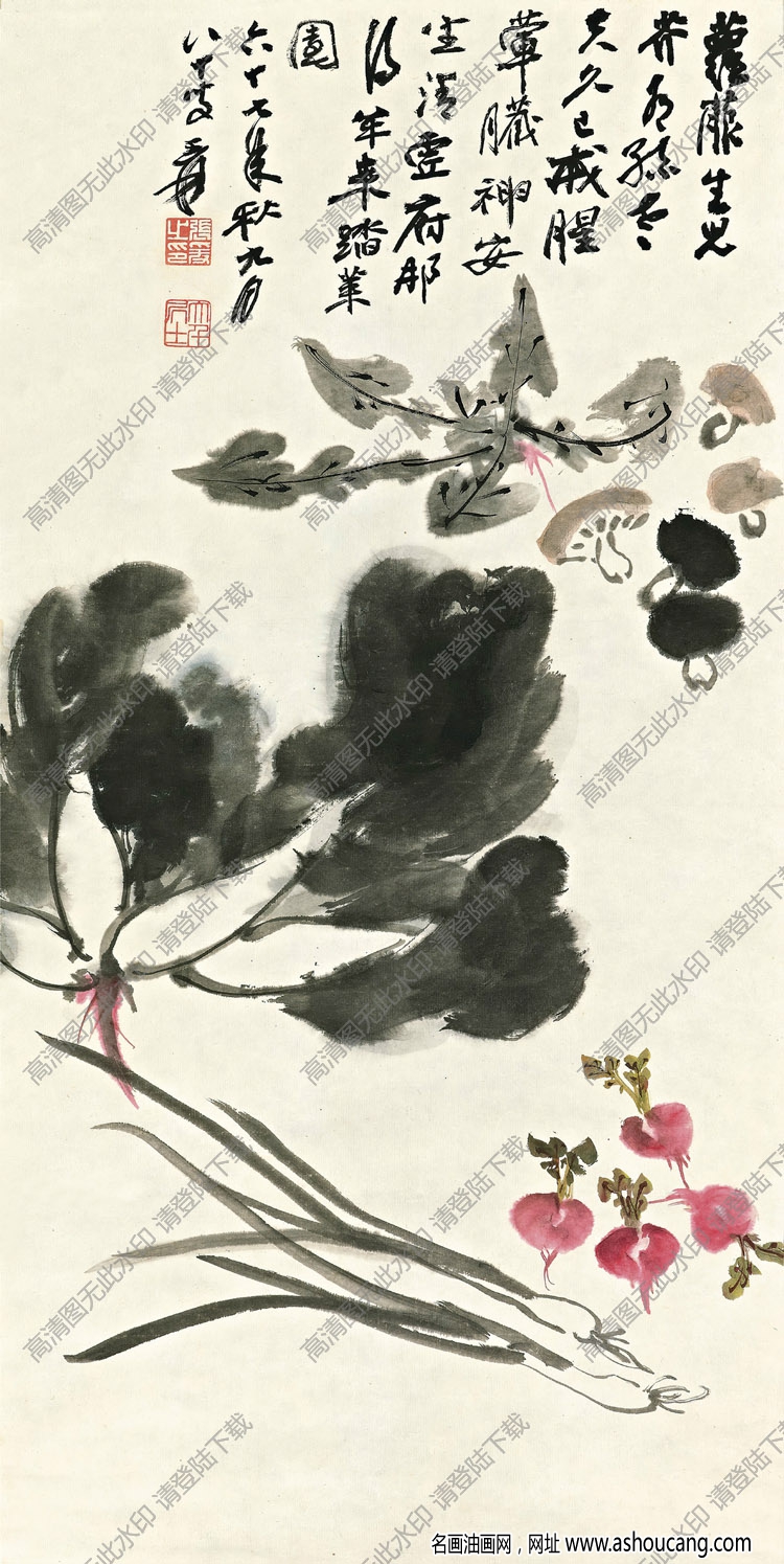 張大千國畫作品_清心素食圖_蘿菔生兒薺有孫_高清大圖下載