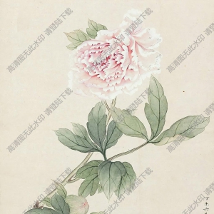 金章作品_富貴高潔_高清大圖下載