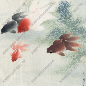 金陶陶作品_金魚圖_高清大圖下載