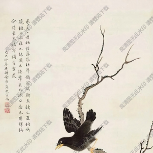 金章作品_松樹八哥圖_高清大圖下載