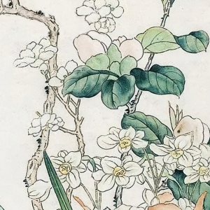 金陶陶作品_歲朝清供_高清大圖下載