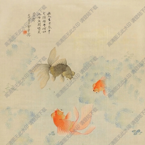 金陶陶作品_魚_高清大圖下載