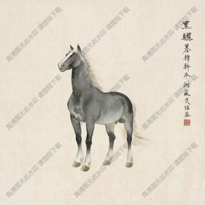 戈湘嵐國畫_黑驪圖_高清大圖下載